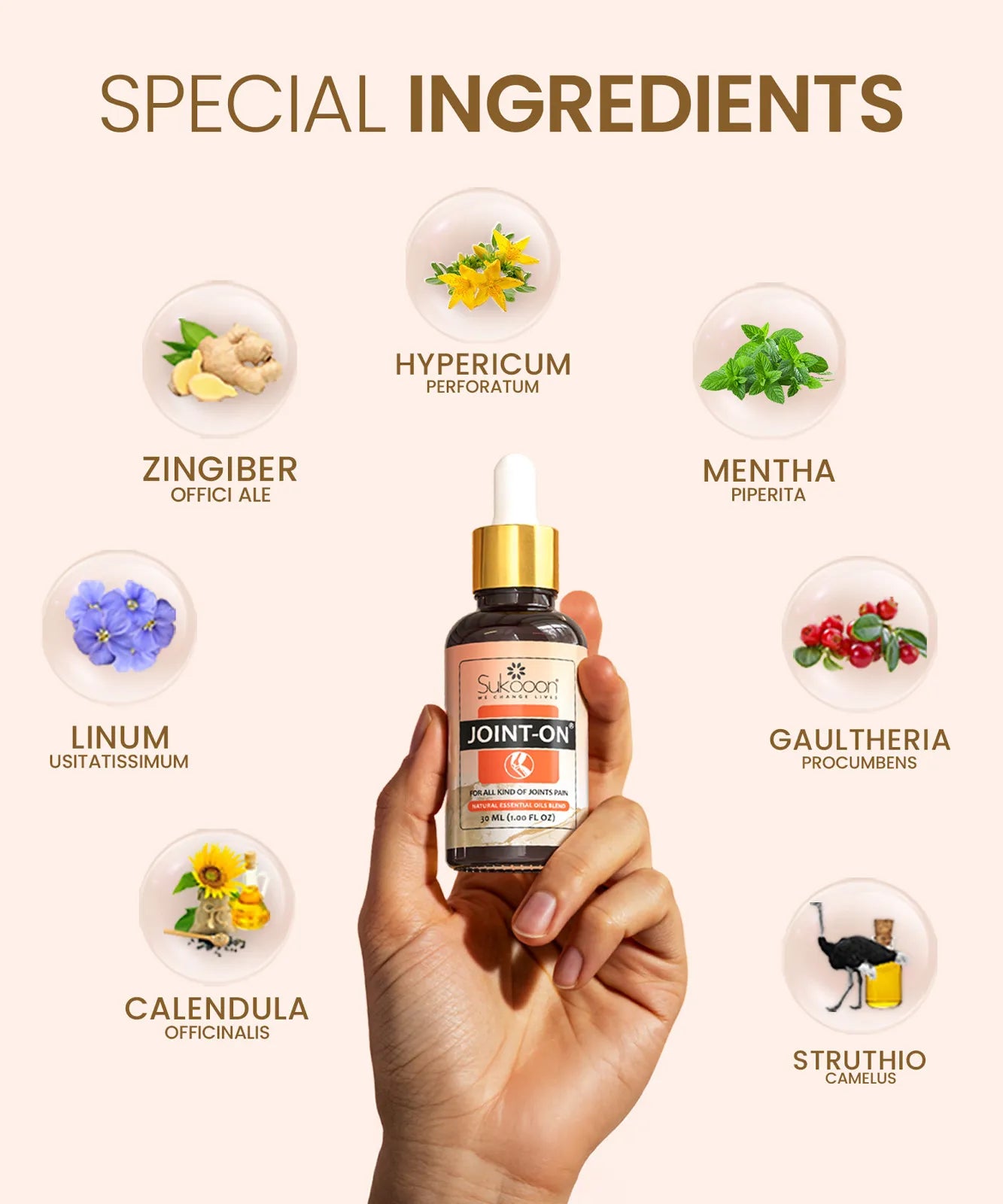 JOINT ON | Oil For Joints, Knee & Back Pain